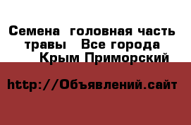 Семена (головная часть))) травы - Все города  »    . Крым,Приморский